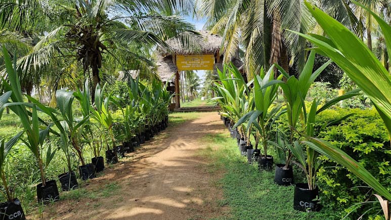 Coconut Cultural Park