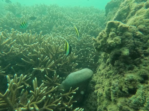 Passikudah Corals View